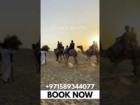 Dubai Desert Safari with Camel Ride Dune Bashing Live Entertainment Shows & BBQ Dinner #foryou