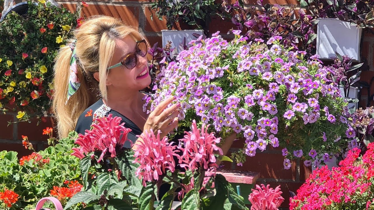 CALIBRACHOA CUIDADOS PODA si está enferma para recuperarla abonado y riego💐