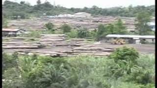 Conserve peat swamp forests, conserve our future