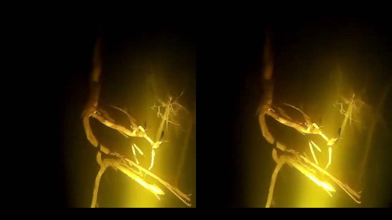 Зимнее ночное погружение, VR