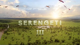 Serengeti Iii | Official Trailer | Bbc Studios
