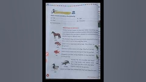 EVS-Class-III, Lesson-7. Animal Life (part-1)