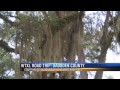 WTXL Road Trip: Renown Architect From Quincy Designs Gadsden County Courthouse