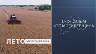 Моя земля / Моя Могилевщина / Уборочная 2023 / Специальный проект
