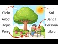 Spanish Learning Quiz