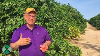 Border Tour: Mark Krikorian discusses border security from Abram, Texas.