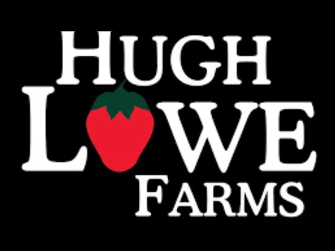 Pro force работа в англии faversham. Pro force работа в англии. Pro force работа в англии faversham. Pro force работа в англии. Pro force работа в англии.