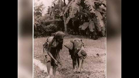 ĐỨC CHA JEAN CASSAIGNE: (P4) SỨ VỤ THỪA SAI TẠI NAM KỲ