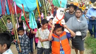 San miguel peras calenda 1 2013