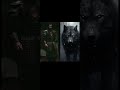 Ertugrul BEY Characters Animalsрџ Ѓ Ertugrul BEY Characters Animalsрџ Ѓ