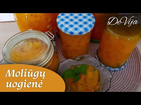 Video: Dieta Moliūgų Puodai - žingsnis Po žingsnio Receptas Su Nuotraukomis