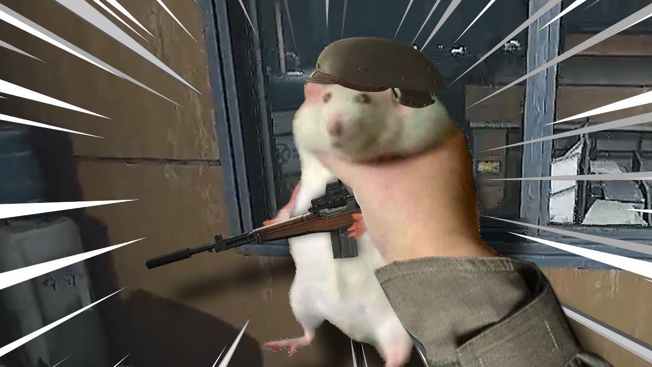 Arena With Rats Arena Breakout Exe - Rats! Camera! Action! - YouTube