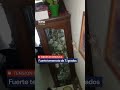 URGENTE: Sismo de 7,1 grados en VENEZUELA