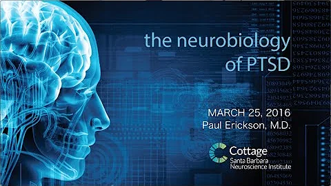 SBNI Lunch Lecture Series - The Neurobiology of PTSD