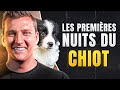 ✅ 4 CONSEILS PREMIÈRES NUITS DU CHIOT