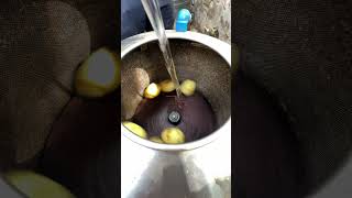 Fast Peeling, Clean Finish – High-Speed Potato Processing!” 🥔⚙️🔄 #potatopeeler