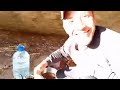 ربوخ مزود قفصي2 نفس المجموعة 