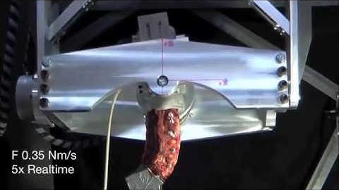 Robotic Spine Test: 360 Degree Bending - Lateral View