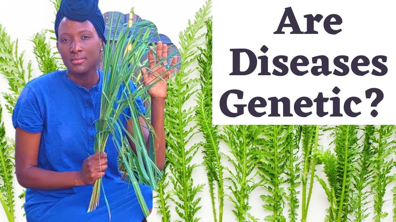 Are Diseases Hereditary The Truth About Generational Curses YouTube Are Diseases Hereditary The Truth About Generational Curses YouTube