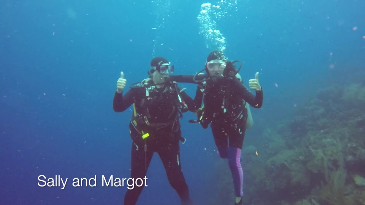 Diving Roatan October 2018 YouTube