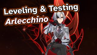 Let's level and test Arlecchino (live first impressions)