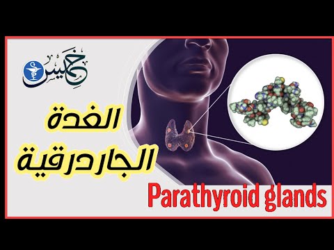  الغدة الجاردرقية الافراز طريقة التأثير علي العظام والكلي والامعاء الكالسيتونين