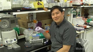 Next Generation Sequencing 3: Purifying DNA Samples with Magnetic Beads - Eric Chow (UCSF)