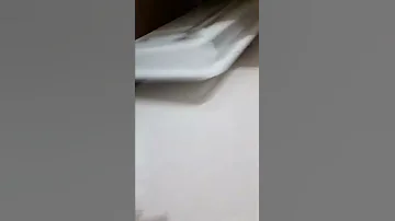 Сколько живут волнистые попугайчики в неволе