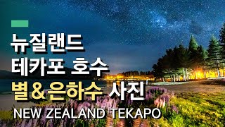 뉴질랜드 테카포호수 별과 은하수 사진찍기 + 테카포 스프링스, 캠핑장에서의 하루 | Stars and Milkyway in Takapo Holiday Park
