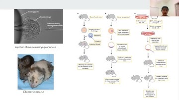 Transgenic and Knockout Mice