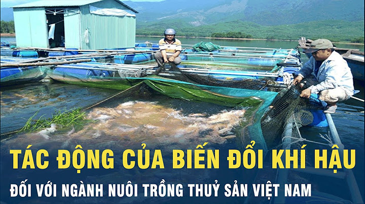 Đánh giá tác động của bđkh đến ntts