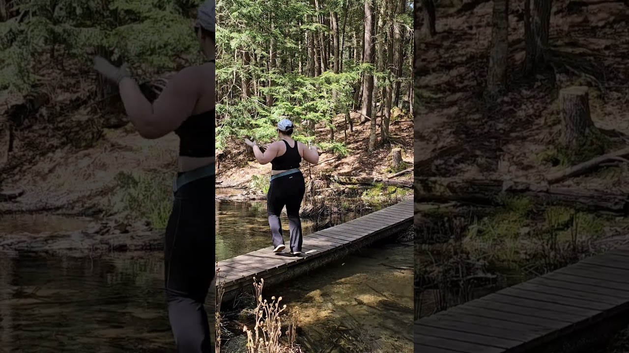 Fly Dance | gotta get rid of those flies 