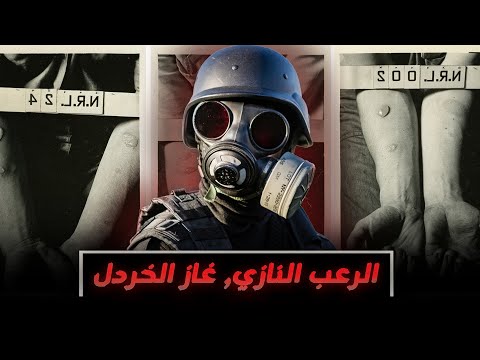 فيديو: كم من الوقت يحمل الخنازير الخنازير في الوقت المناسب: ما الذي يحدد مدة وتوقيت السلالات المختلفة