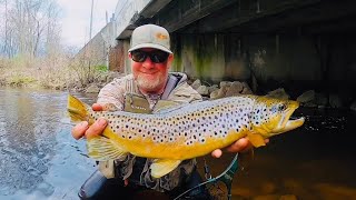 Catching Big PA Bridge Troll Brown & Rainbow Trout On Spinners & Streamers #trout #fishing #mepps