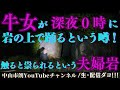 西宮『#夫婦岩』にて生・配信中‼️#牛女 が岩の上で踊る⁉️触ると祟られる…⁉️【#クダン #件 #中山市朗 #新耳袋 #怪談狩り】