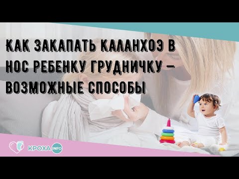 Как закапать каланхоэ в нос ребенку грудничку — возможные способы