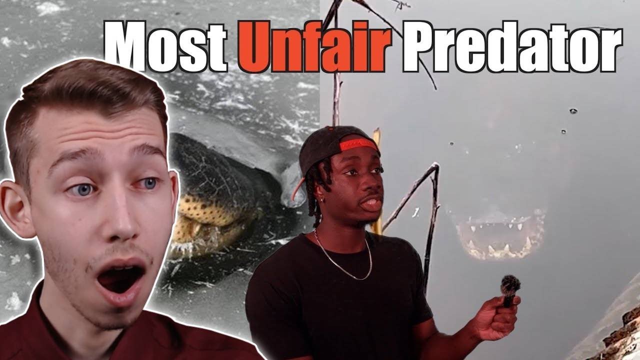Why This is the Scariest Predator of All Time REACTION!