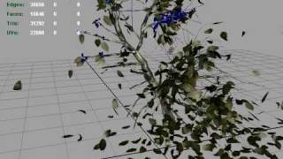 3d_Ncloth falling leaves dinesh chandanshive