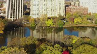 Fall Colors - Chicago 2018