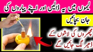 Get Rid Of Mosquitos || Machar Bhagane Ka Tarika || Mosquito Killer Homemade