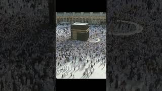 Hanya melihat ini timbul rasa rindu akan kabah
