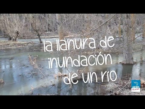 Video: Gran Moscú: llanura aluvial de Filevskaya