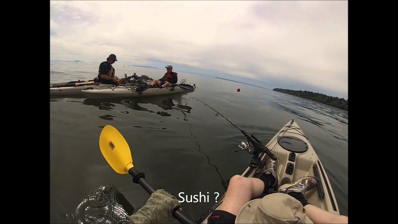 Kayak Fishing in British Columbia YouTube