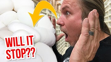WILL THE SNAKE EGGS EVER STOP!! | BRIAN BARCZYK