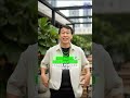 Bukan Cuma Udara Kosong! Ini Dia Fondasi Asli Teknologi Modern, Pastikan Kamu Like Ya!
