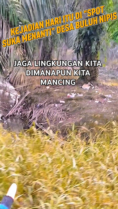 ADA KEJADIAN DI SAAT MANCING DI SPOT 'SUKA MENANTI' DESA BULUH NIPIS KAMPAR RIAU #shorts