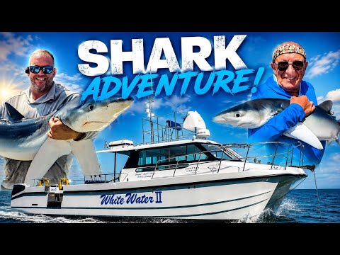Is Falmouth the UK's Shark Fishing Capital? | Sea Fishing UK