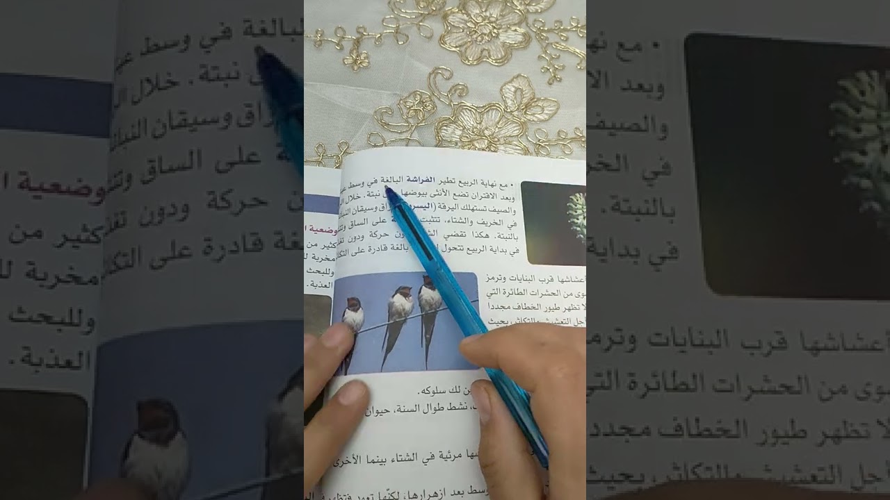 تمرين ص51 من الكتاب المدرسي سنة ثانية متوسط