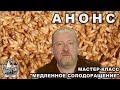 Мастер-класс по солодоращению