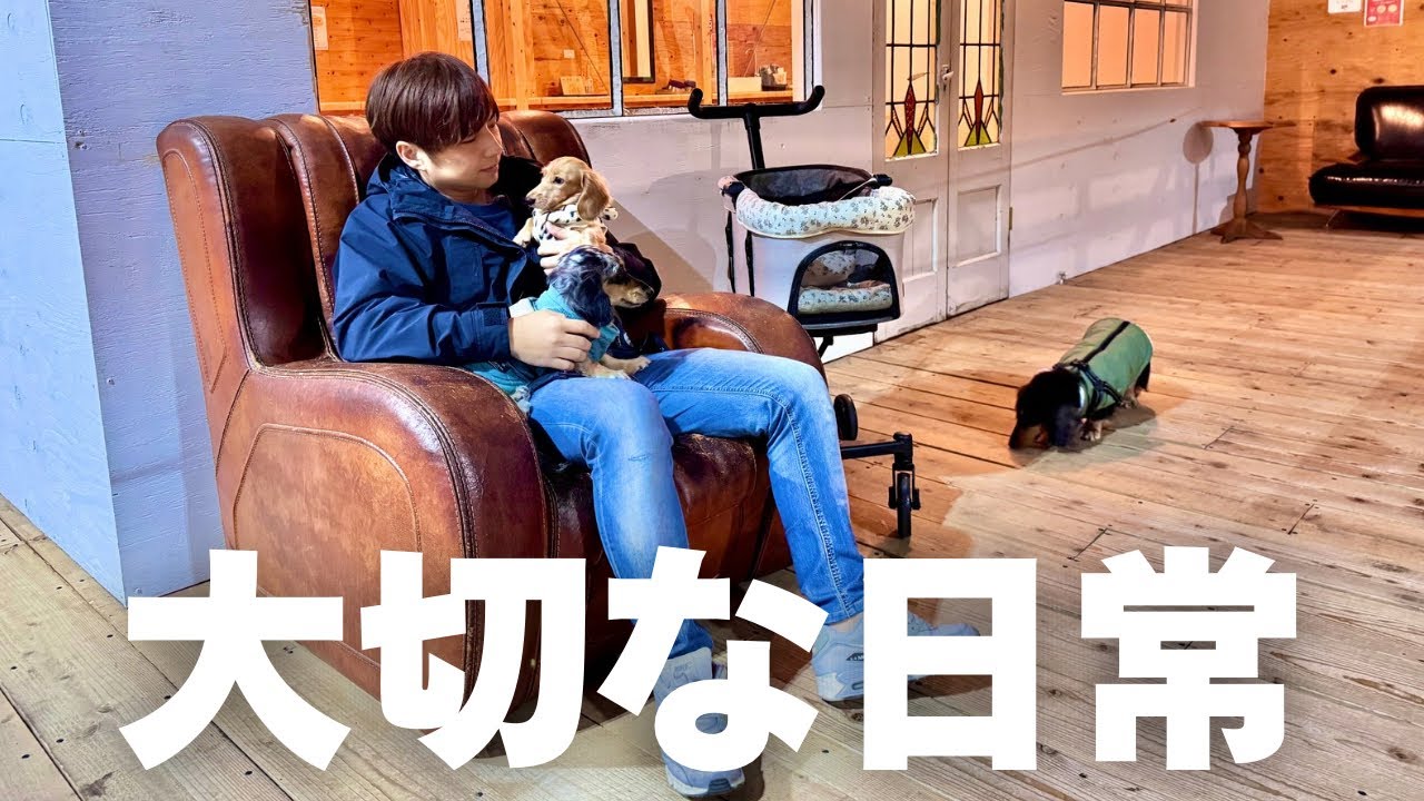【犬7頭と暮らすおっさん】愛犬との日常を画期的なNEWペットカートを使って過ごしてみた【PETTENA】